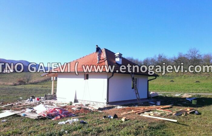 Brvnara - Drvena kuća od ravnih brvana – dasaka - Kragujevac